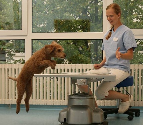 Dr. Dorothea Johnen, vétérinaire à Berlin, avec Ellie Apprentissage médical